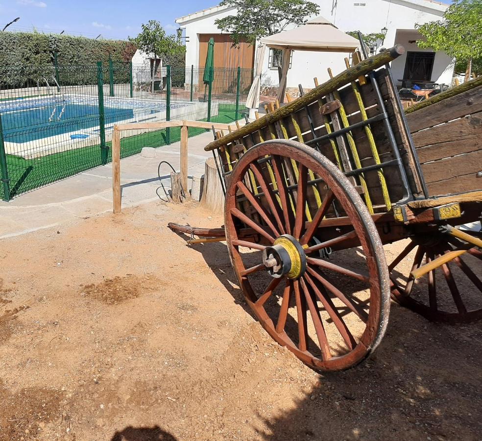 Casa Rural La Cerca Madridejos Dış mekan fotoğraf