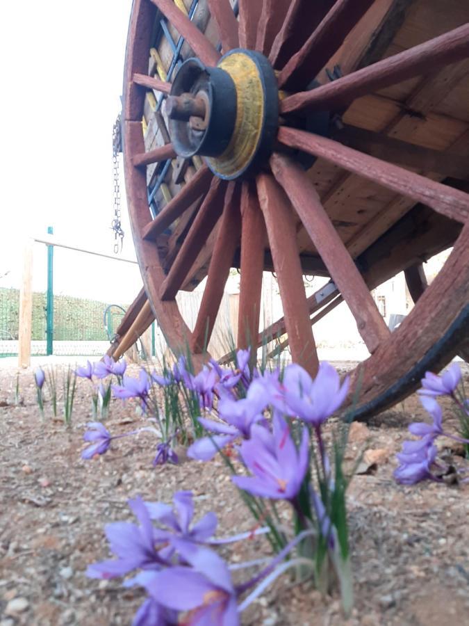 Casa Rural La Cerca Madridejos Dış mekan fotoğraf